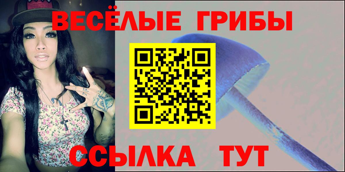 Псилоцибиновые грибы мухоморы  Вход с VPN  Канаш 